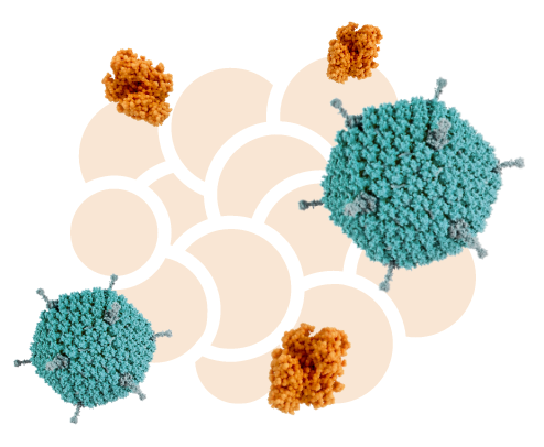 Intratumoral Transduction &amp; Expression