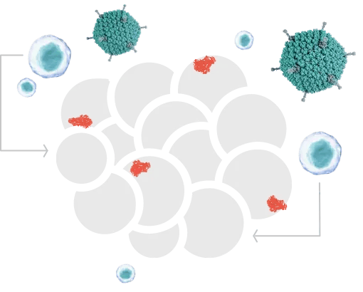 Immunogenic Cell Death &amp; Systemic Immune Response