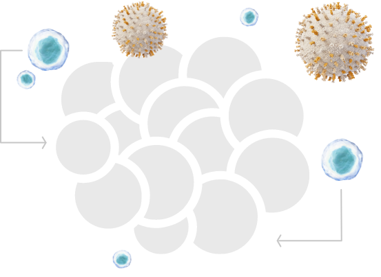 Enzymatic Prodrug Activation